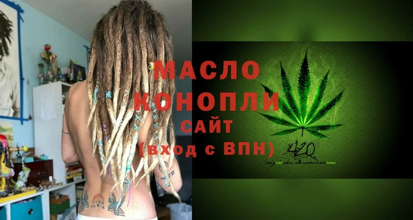 молекула духа Козельск