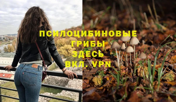 кристаллы Кодинск
