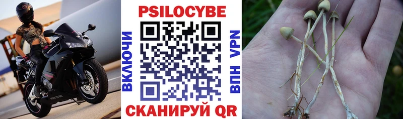 продажа наркотиков  гидра рабочий сайт  Псилоцибиновые грибы ЛСД  Кингисепп 